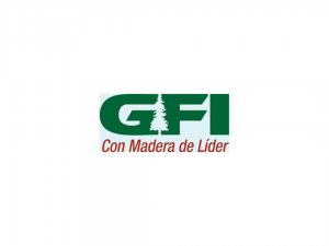 GFI_Stand Depot