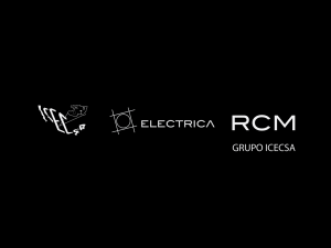 Grupo Icecsa_Stand Depot