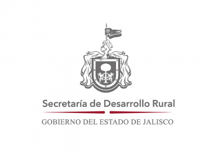 SDR_Stand Depot