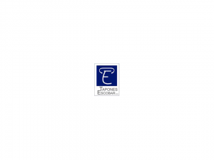 Tapones Escobar_Stand Depot